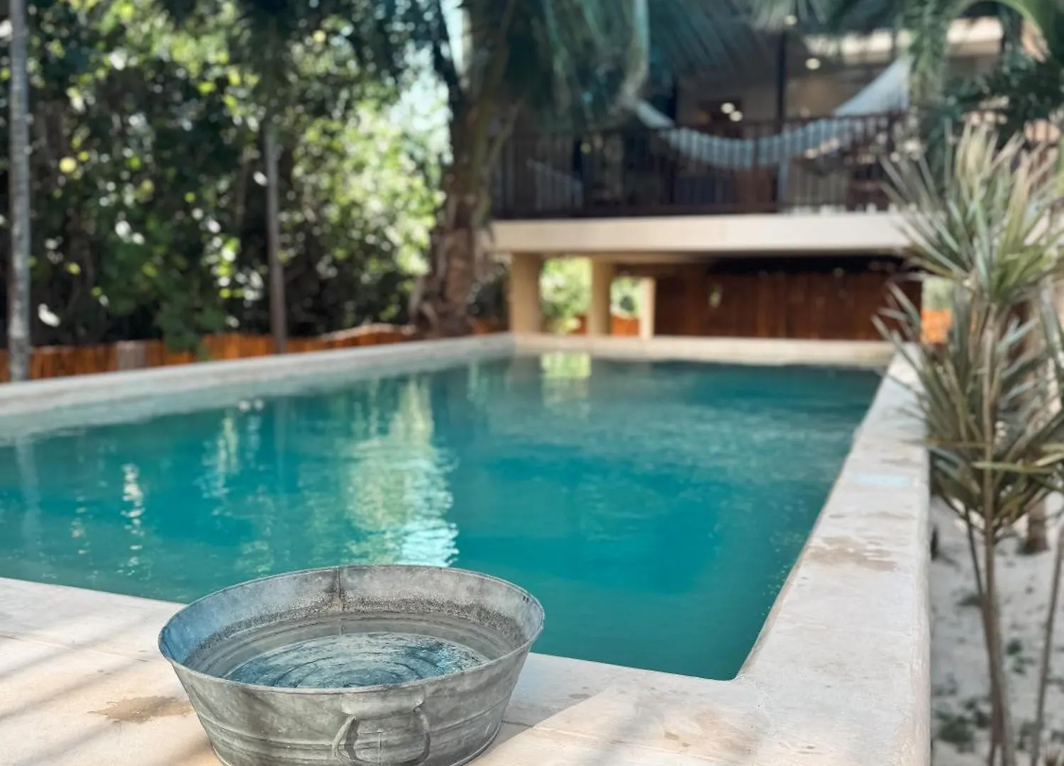 Boho Loft Steps From Punta Cocos Beach Isla Holbox Apartment