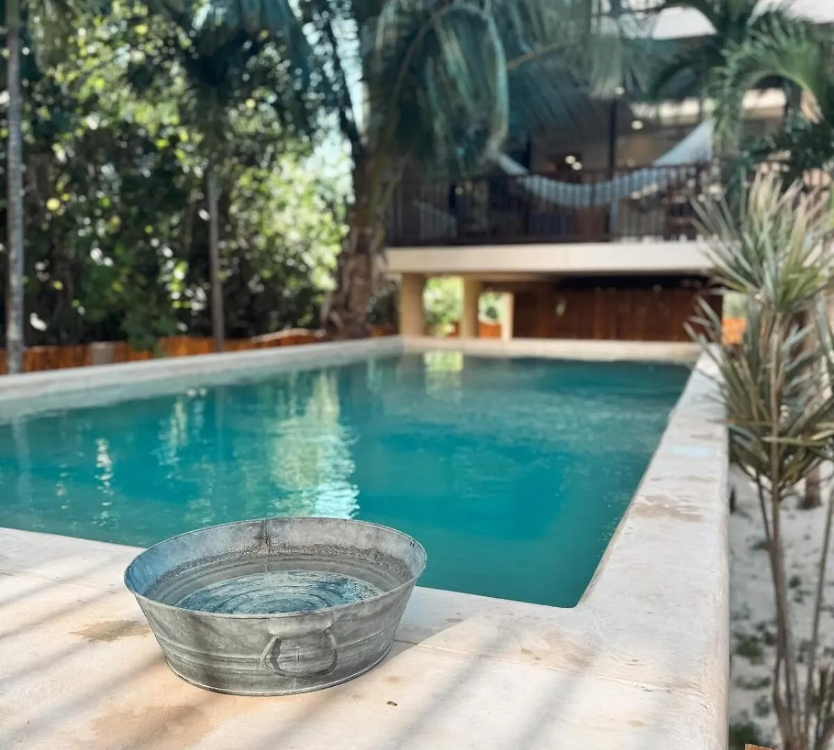 Apartment Boho Loft Steps From Punta Cocos Beach Isla Holbox